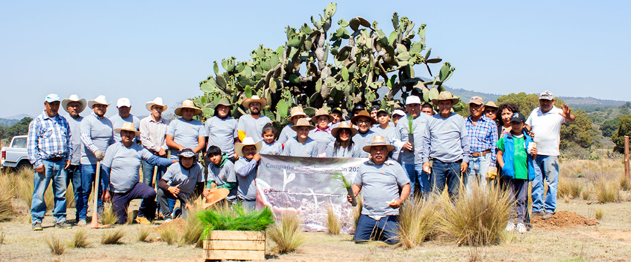 Campaña de reforestacion 2023 Distribuidora de embalaje